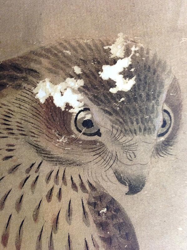 ☆古美術！ 曾我蕭白(曽我蕭白) 朱印 [ 暉一 ] 鷹と蘭図 - メルカリ