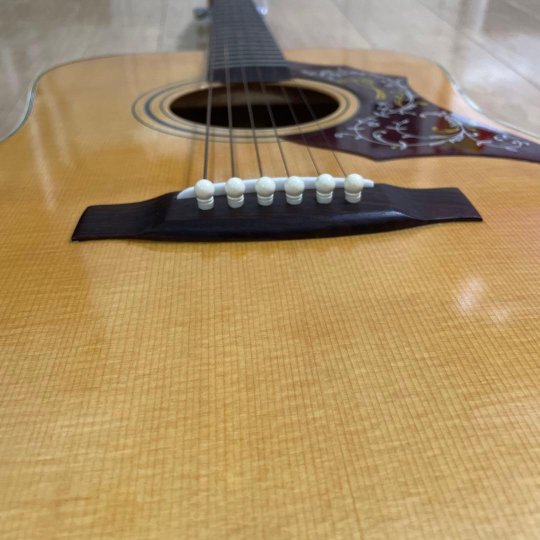 激レア roje 全音 ロジェ アコースティックギター ハミングバード