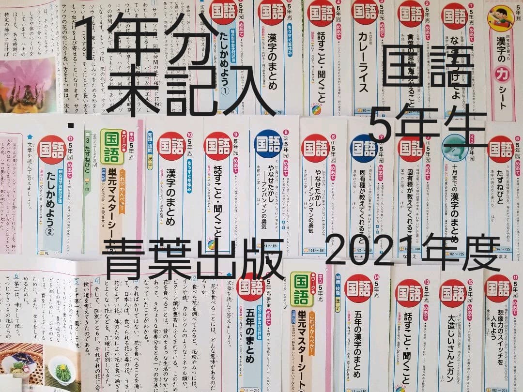 未使用 5年 国語 カラーテスト 令和3年度 光村図書 青葉出版 m66
