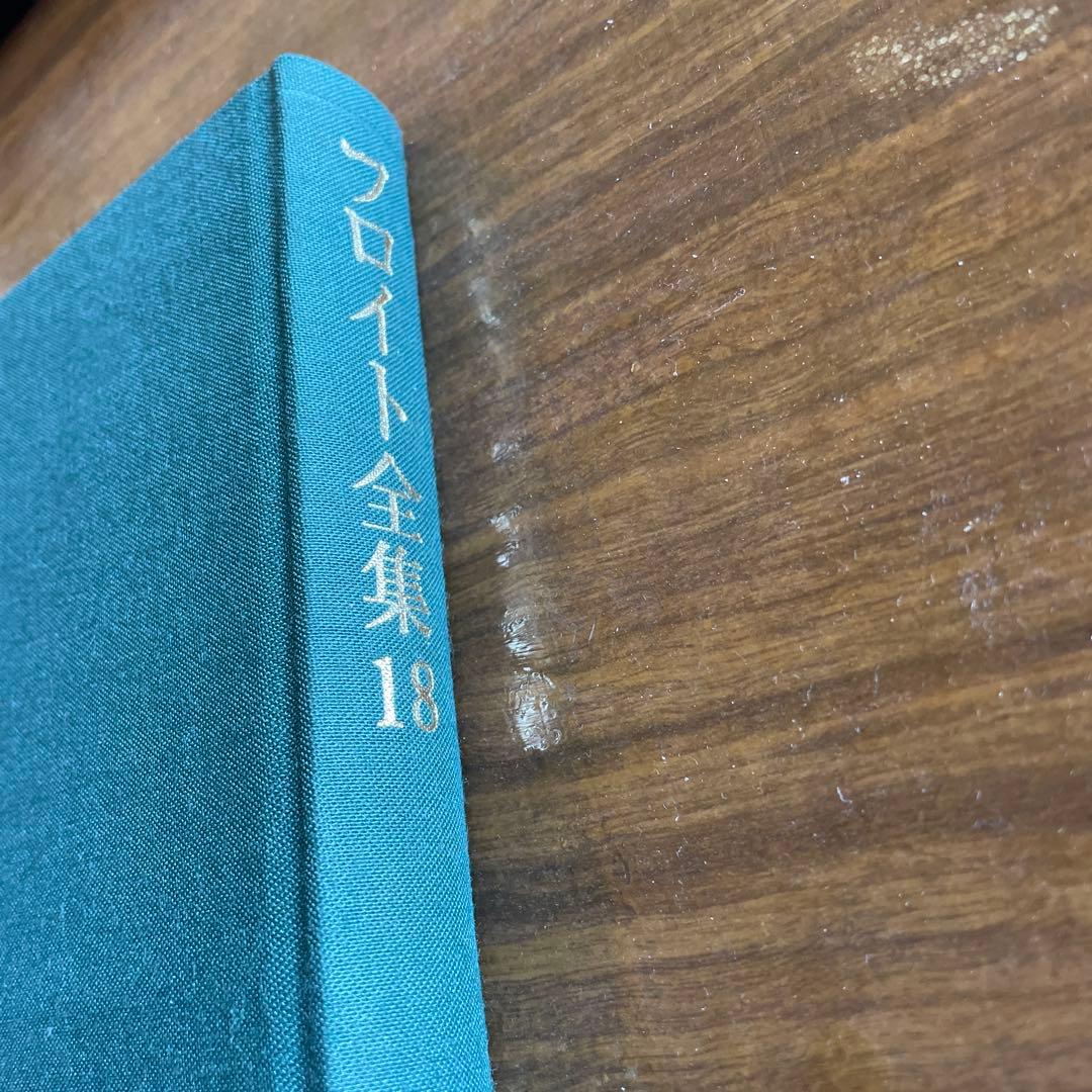 フロイト全集 18