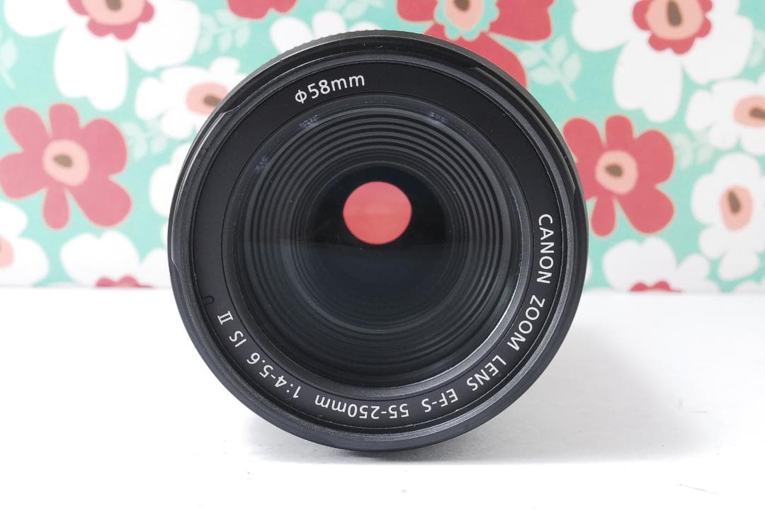 ❤Canon EF-S 55-250mm F5.6 IS II❤手振れ補正❤