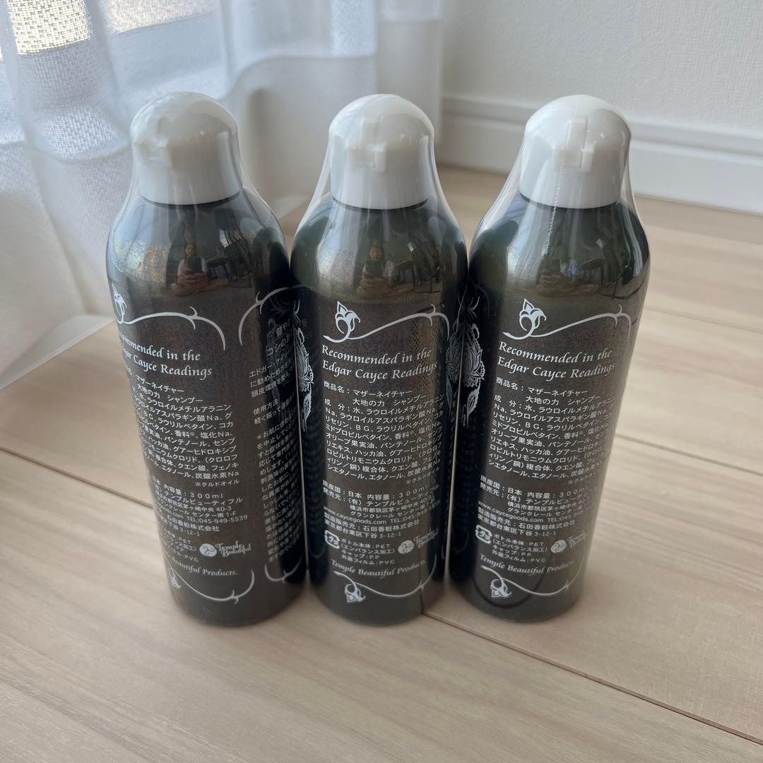 大地の力シャンプー300ml エドガー・ケイシー 3本セット - メルカリ
