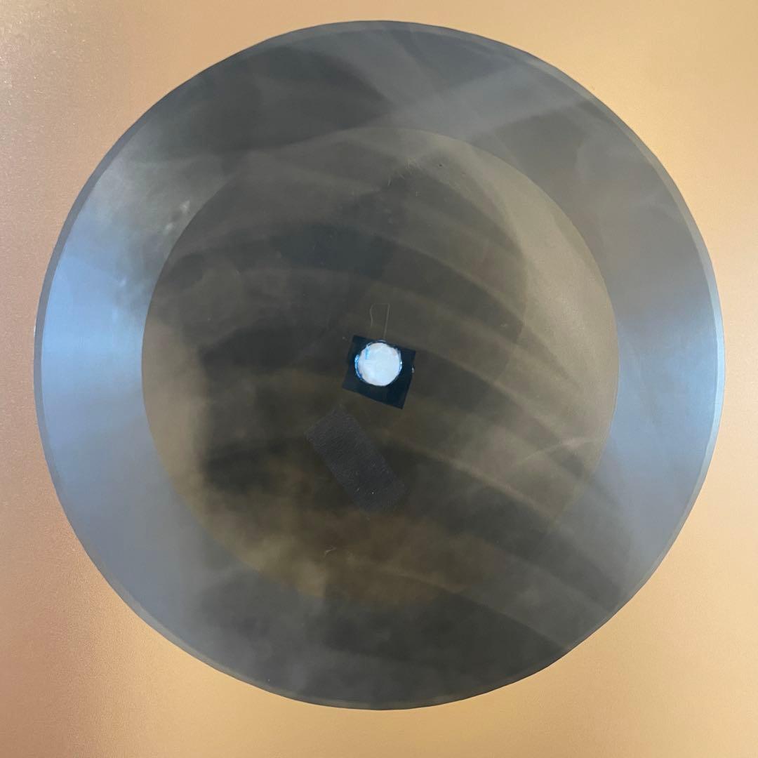 【旧ソ連製 肋骨レコード】Nina Simone 7インチ 旧ソ連の珍品「肋骨レコード」とは？ ディスクユニオンのレコード