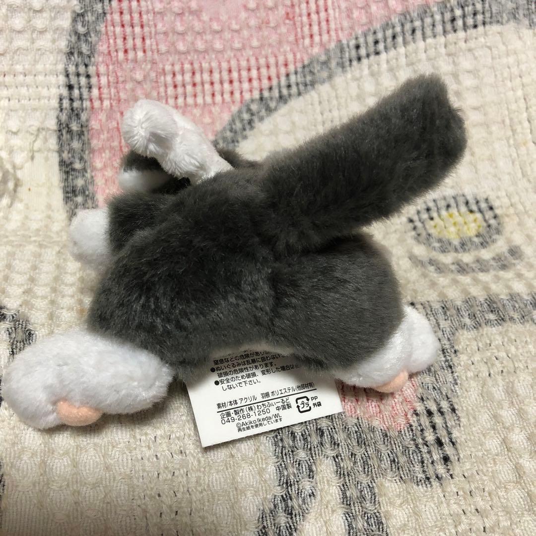 わちふぃーるど Ansel litan 天使＆セキグチ Marcy マスコット - メルカリ