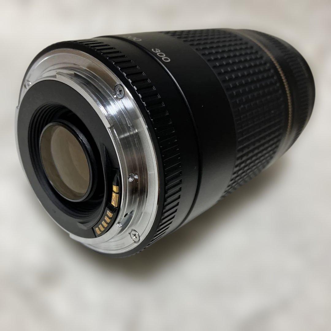 【美品】Canon EF 75-300mm F/4-5.6 Ⅱ