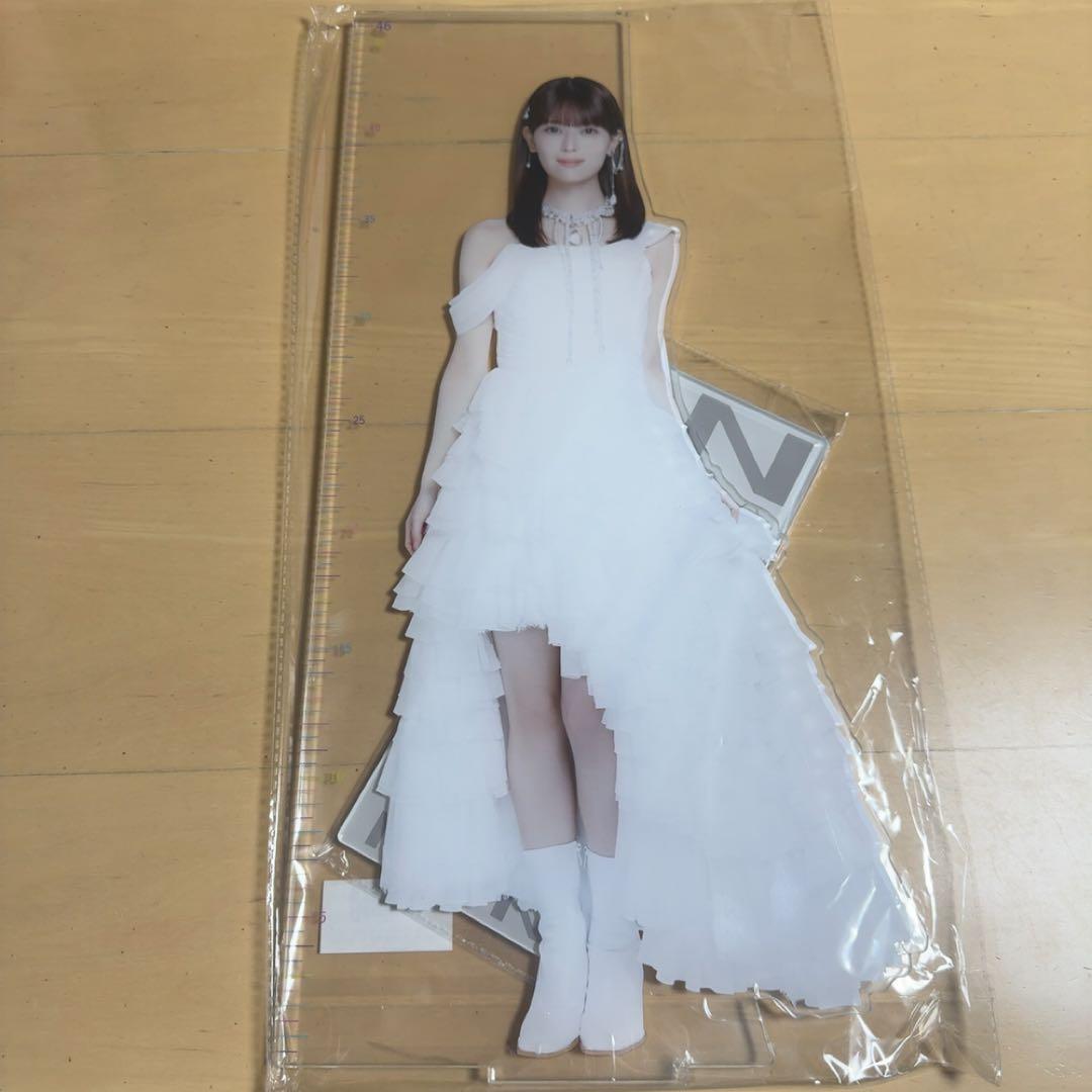 乃木坂46 lucky bag 2026 アクリルスタンド　岩本蓮加 乃木坂46 OFFICIAL WEB SHOP | 乃木坂46 グッズ通販サイト