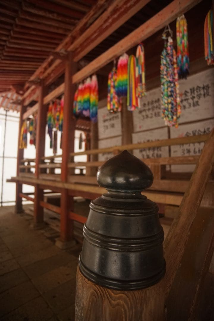 作例付き　TOKINA 20-35mm F3.5-4.5 AF 管mpr