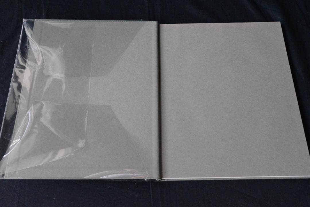 Julie Pike：FLOWERS SHALL GROW☆大幅に値下げしました - メルカリ