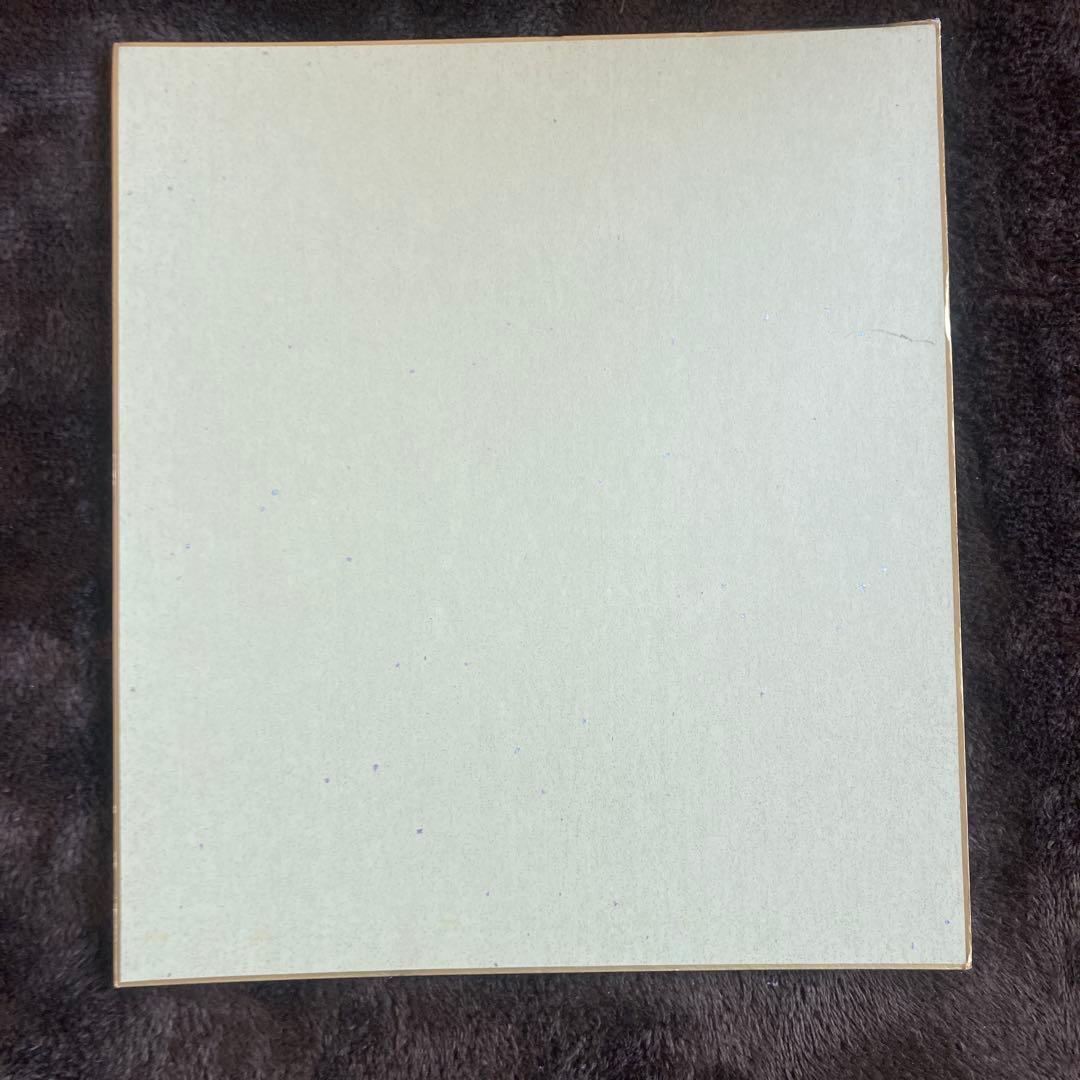 RIZIN 三浦孝太 サイン色紙 - メルカリ