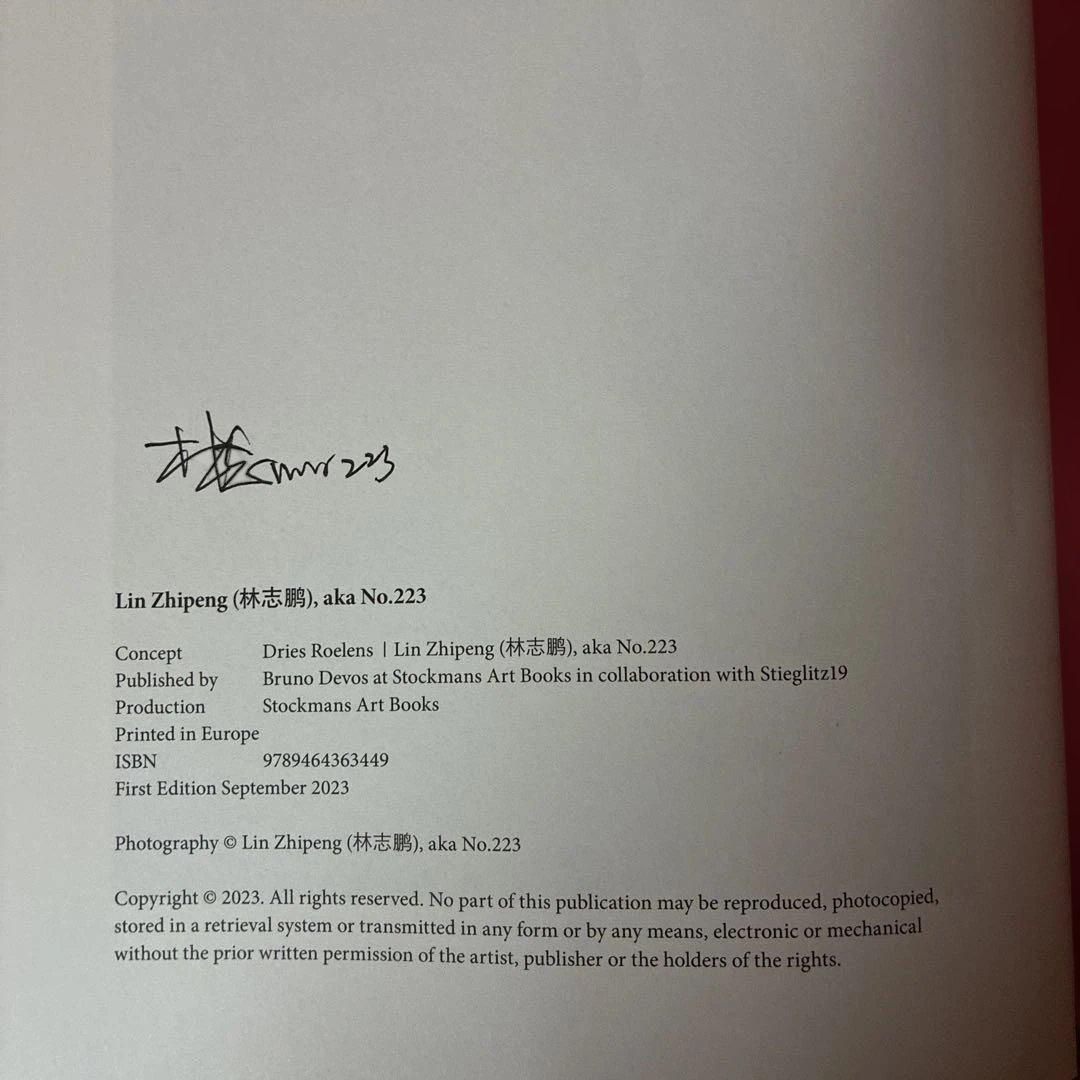 アート・デザイン・音楽 Lin Zhipeng aka,No.223 Mysterious Skin