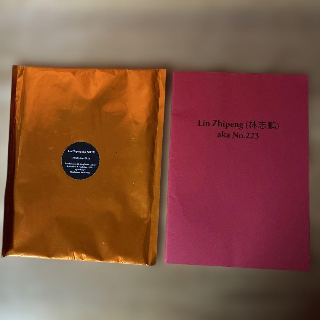アート・デザイン・音楽 Lin Zhipeng aka,No.223 Mysterious Skin