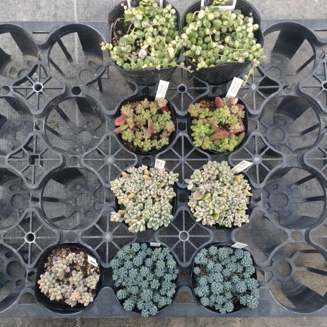 午前着 ☆Yuさん専用