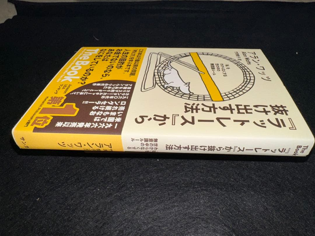 ラットレース」から抜け出す方法 著者アラン・ワッツ - メルカリ