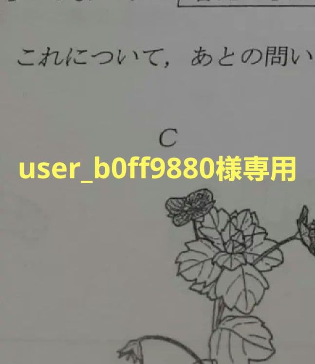 語学・辞書・学習参考書 user_b0ff9880 語学・辞書・学習参考書 EPS TEXT BOOK 語学・辞書・学習参考書 EPS