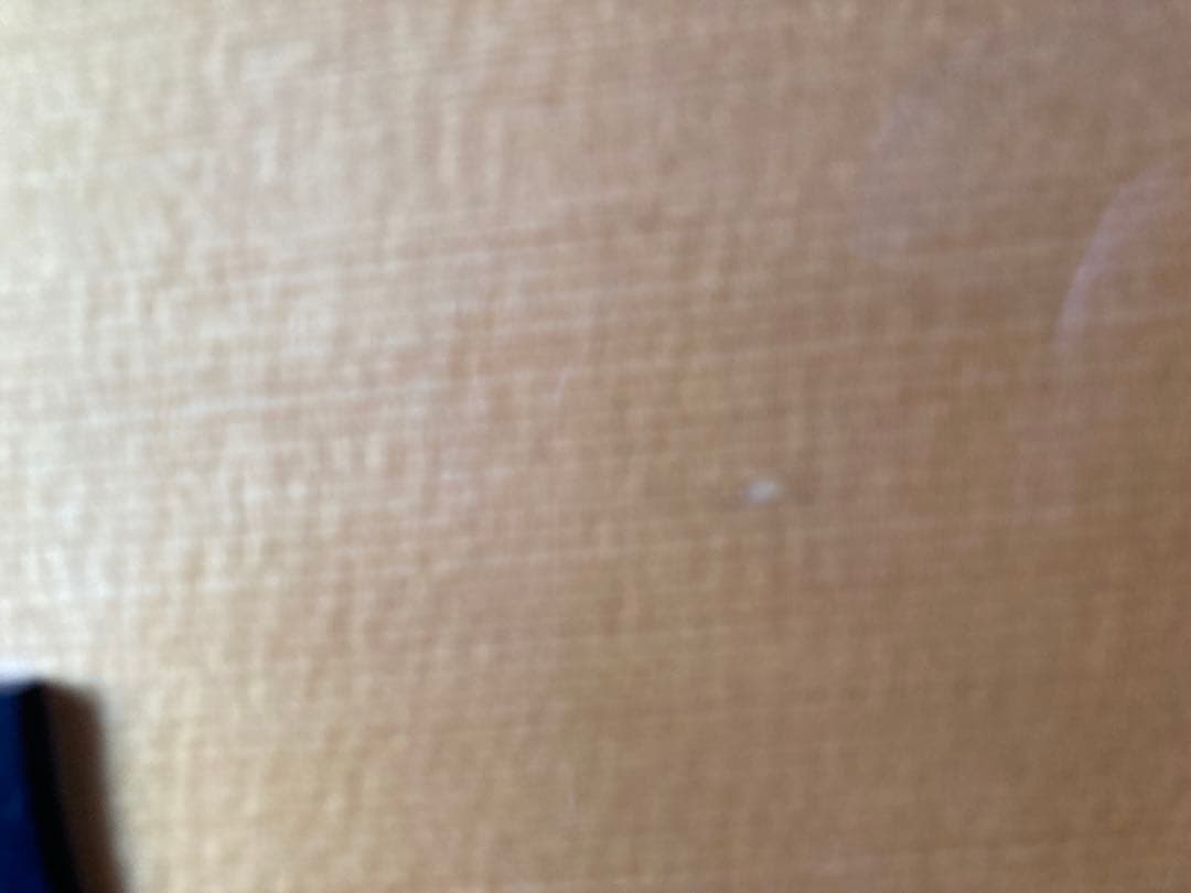 w*a様 Aria Dreadnought AF-1600N【美品・レア】☆最終 - メルカリ