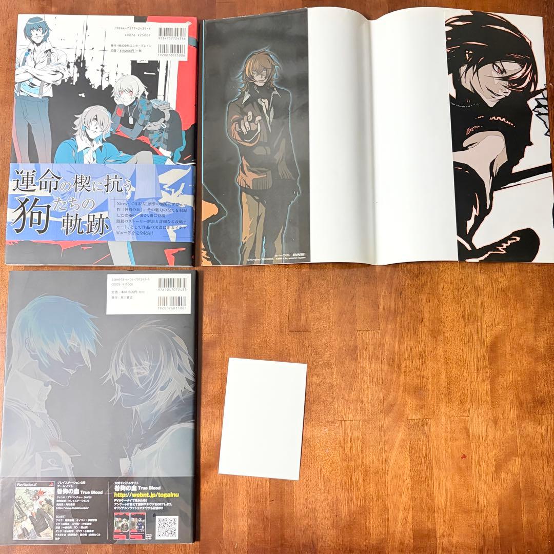 15：初版 咎狗の血 公式ビジュアルファンブック 特典 帯付き 公式