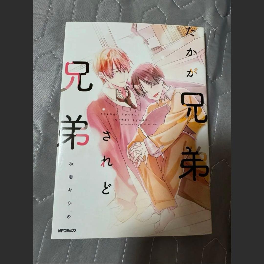 BL漫画まとめ バラ売りOK（同一タイトルはセット購入） まとめ買いもOK