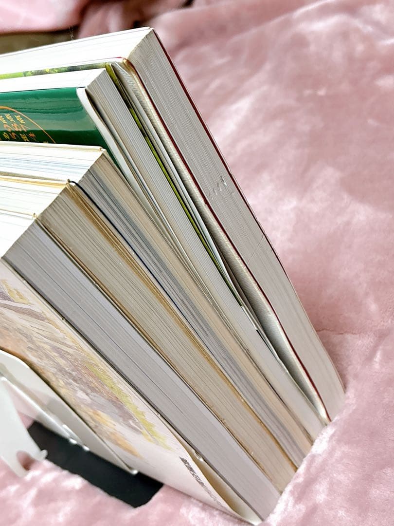 ジブリ　ジ・アートシリーズ　井岡雅宏画集　ナウシカ　紅の豚　千と千尋　5冊セット