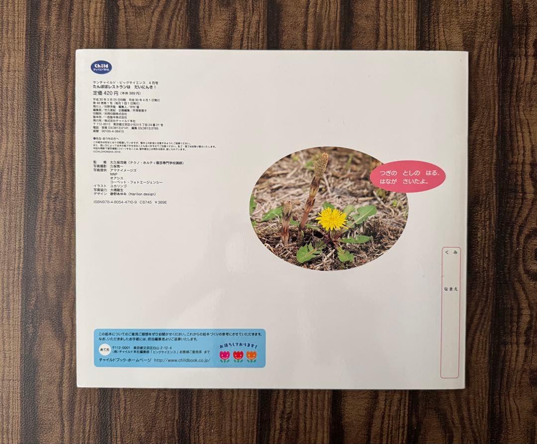 たんぽぽ ちいさなかがくのとも キンダーブックしぜん ビッグ