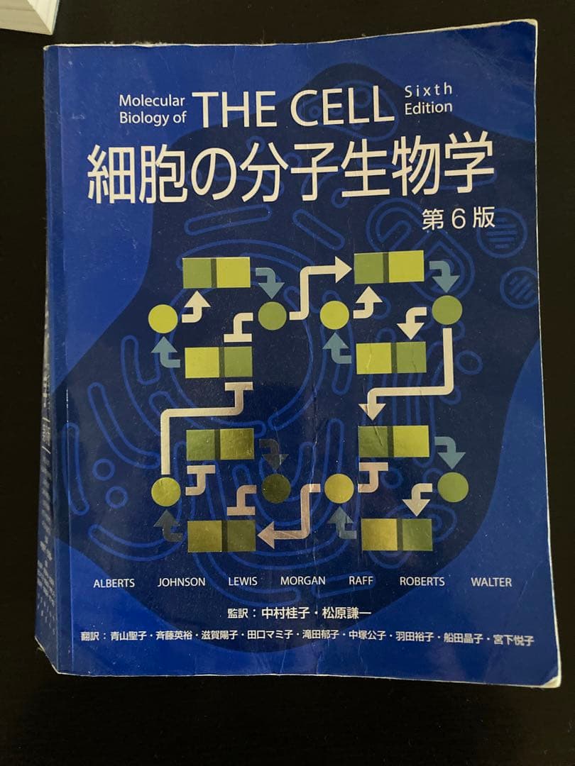 THE CELL 細胞の分子生物学 MEDSi)株式会社 メディカル・サイエンス・インターナショナル / 細胞の