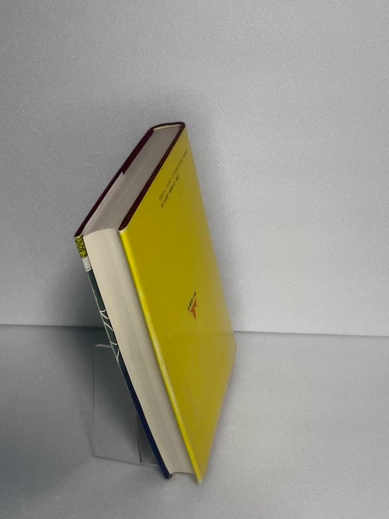 宝瓶宮福音書 リバイ・ドーリング著 イエス・キリストの生涯 秘教