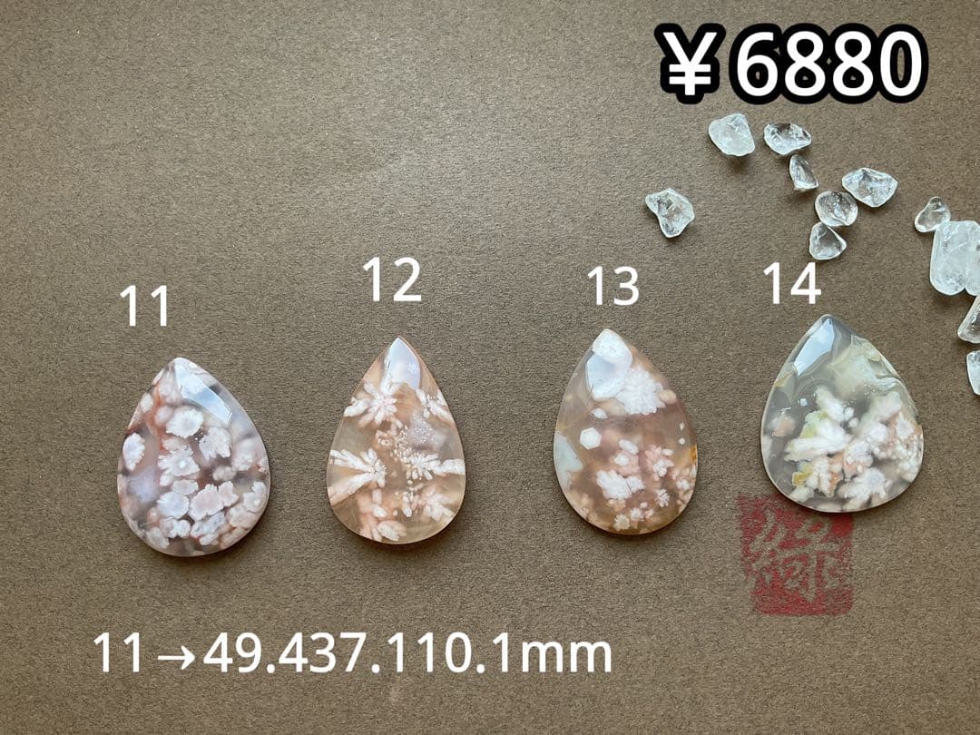 でんちゃん 8/22