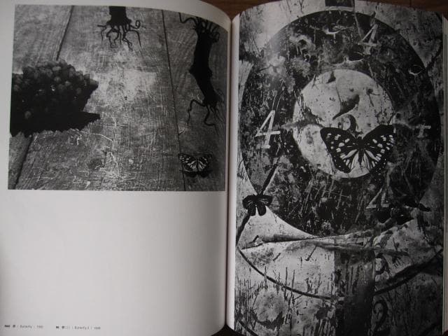 安井仲治 写真集 Nakaji Yasui 展覧会チラシ付き - メルカリ