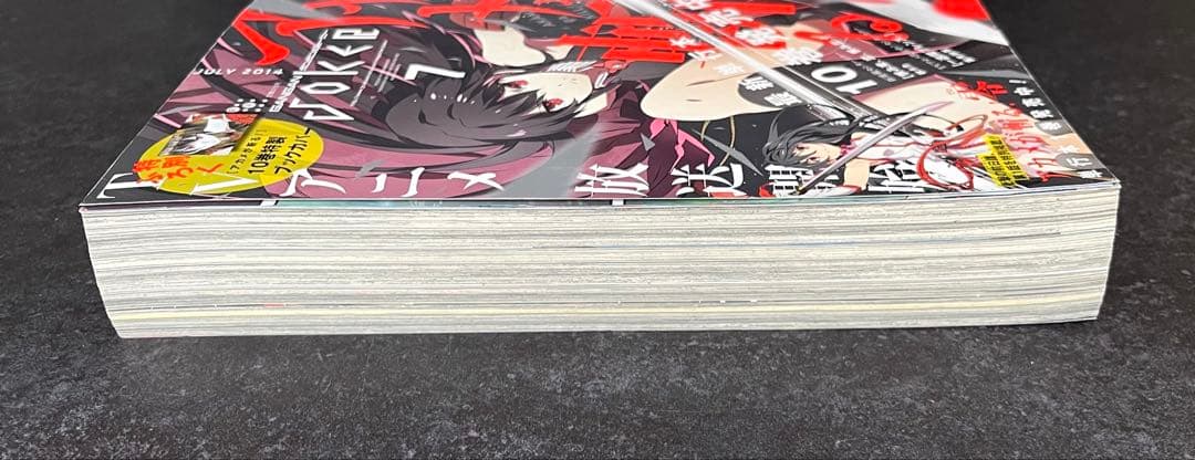 ○月刊ガンガンjoker 2014年 7月号 ○アカメが斬る! ブックカバー付き