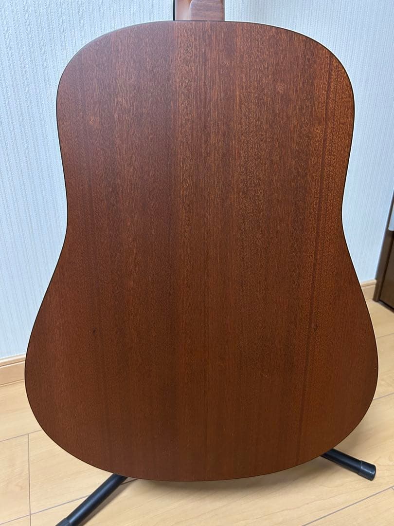 シーガル M6 スプルース アコースティックギター