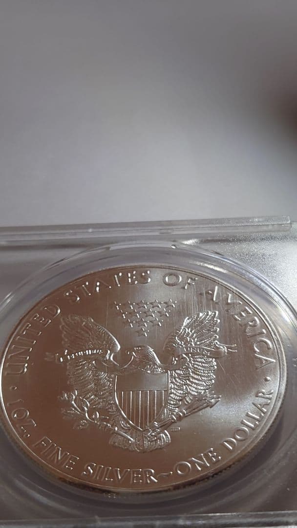 m*1様 アメリカ イーグルー1ドル 銀貨 ANACS(アメリカ鑑定会社)MS6