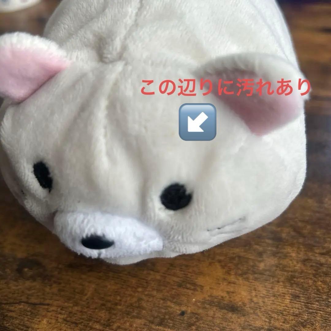 ごろねこサミット ワタナベ ぬいぐるみ クッション 第1回 おうち代表