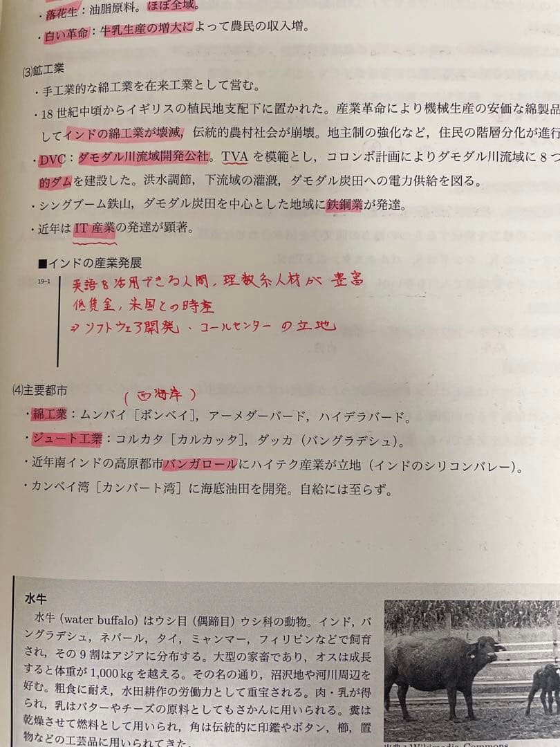 鉄緑会 高3地理教材 地理総覧 - メルカリ