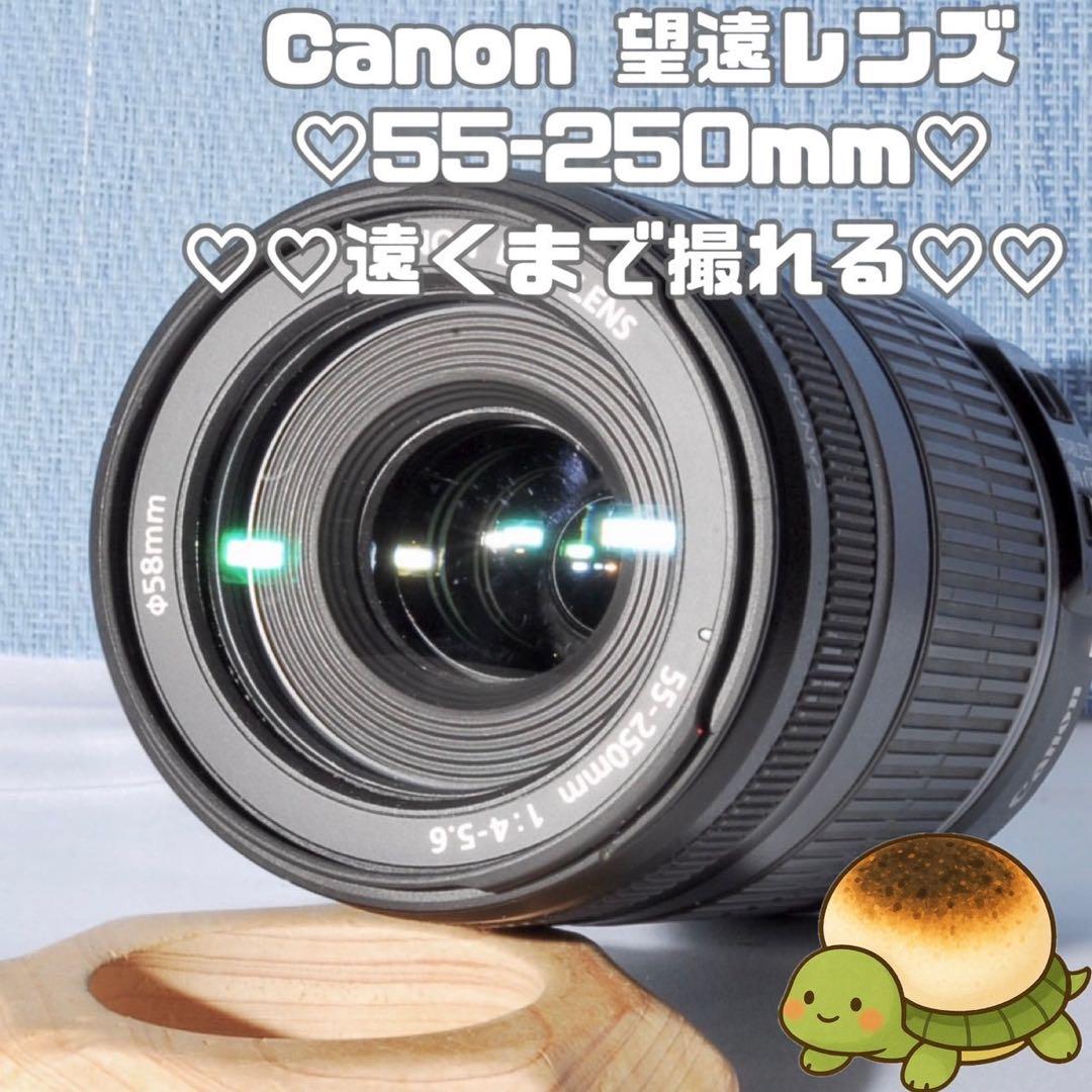 ✨手ブレ補正機能付き ✨EF-S 55-250mm f/4-5.6 IS