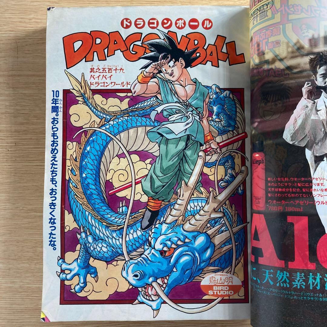 週刊少年ジャンプ 1995年25号 集英社