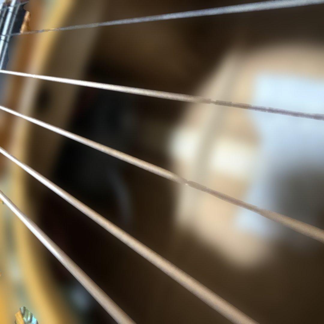 Morris SS-125Rアコースティックギター ルシアーモデル - メルカリ