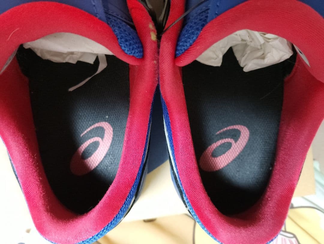 ASICS FCP209 BOA® フィットシステム 27.0cm