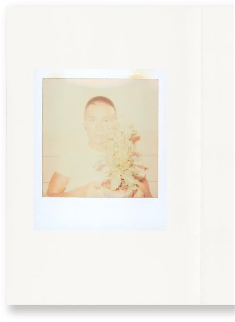 絶版‼️ 123 Polaroids No.223 Lin Zhipeng
