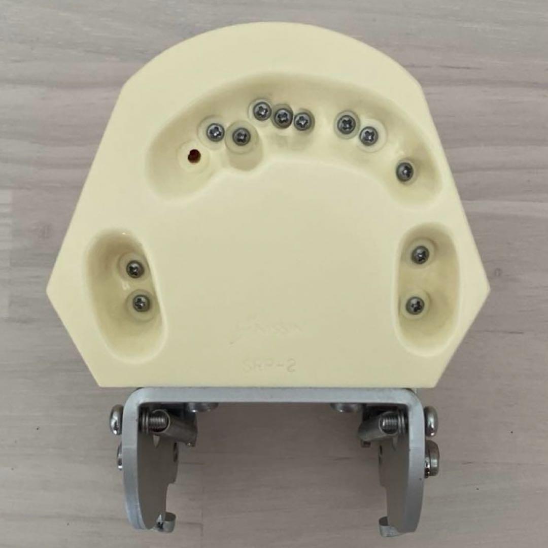 NISSIN ニッシン額模型 叢生顎模型 - メルカリ