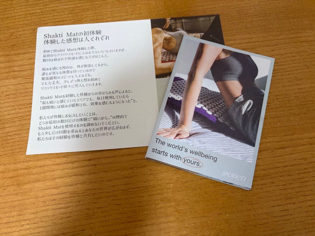 シャクティ クラシックピロー オリジナル 快適