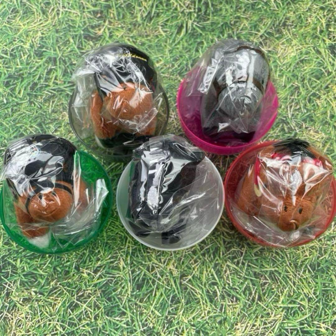 サラブレッドコレクション ぷちぬいぐるみ5 全5種類コンプリート