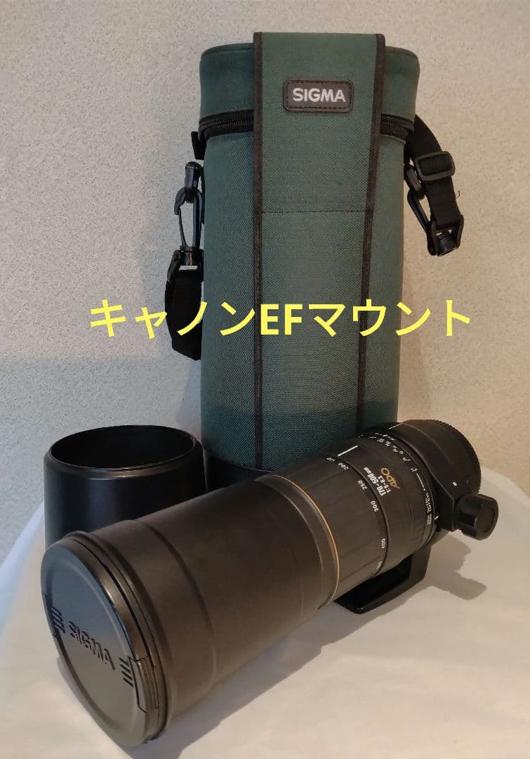 シグマAPO 170-500mm 望遠レンズキャノンEFマウント