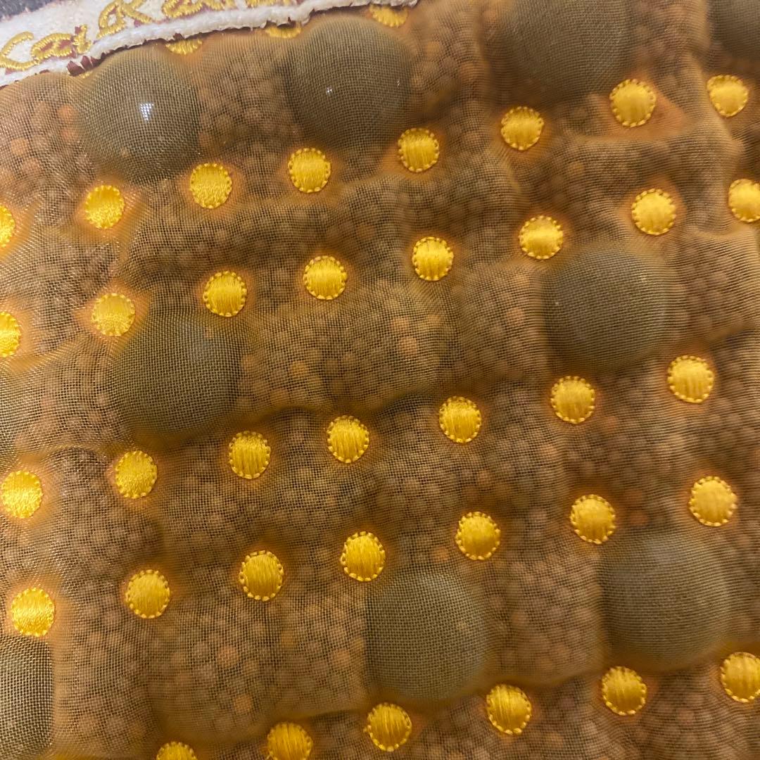 海化石 岩盤浴 ほぐしベルト うなじ 腰用岩盤浴 ゲルマニウム 希少 遠