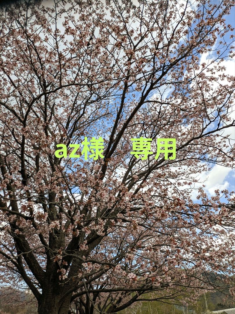 az　バードアスレチック　バードトイ 壁掛けバードアスレチック(TOY-14-003) | iichi 日々の暮らしを