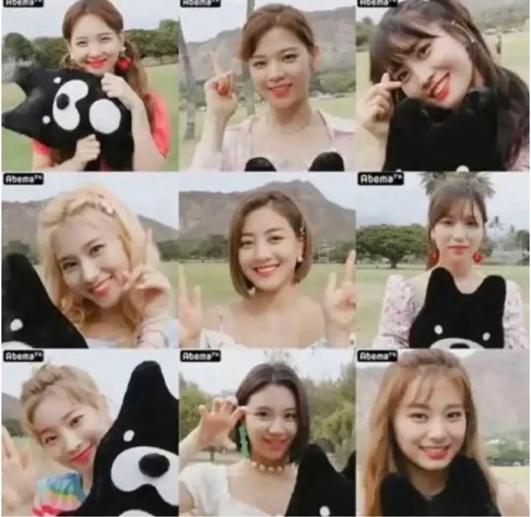 本物】TWICE グッズ ダヒョン直筆サイン ぬいぐるみ abemaTV - メルカリ