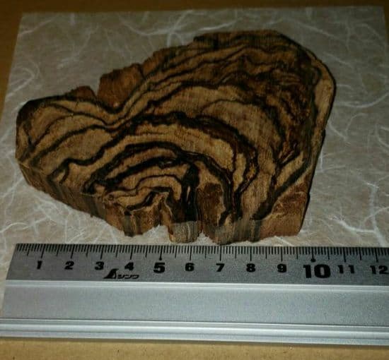 沈香、伽羅、六国五味、聞香、香木「天然カンボジア産黄熟香90.2g」12