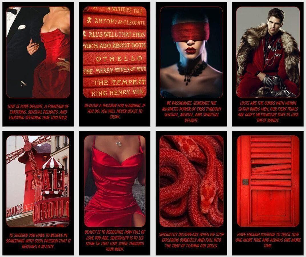 正規品オラクルカード】おしゃれでクール✨赤と黒の個性カラー✨情熱と