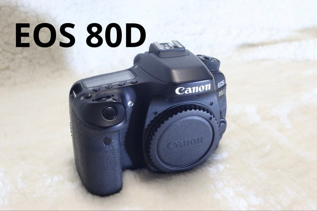 Canon EOS 80D ボディ　ジャンク Amazon.com : Canon Digital SLR Camera Body [EOS 80D] with 24.2