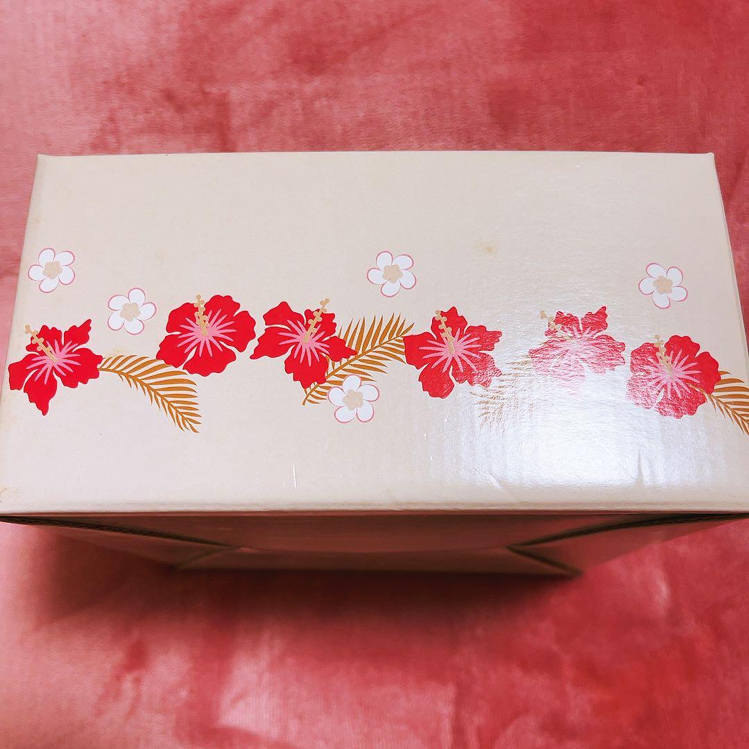 希少レア ハローキティ ダニエル 日焼け ハワイ タンブラーセット 1999