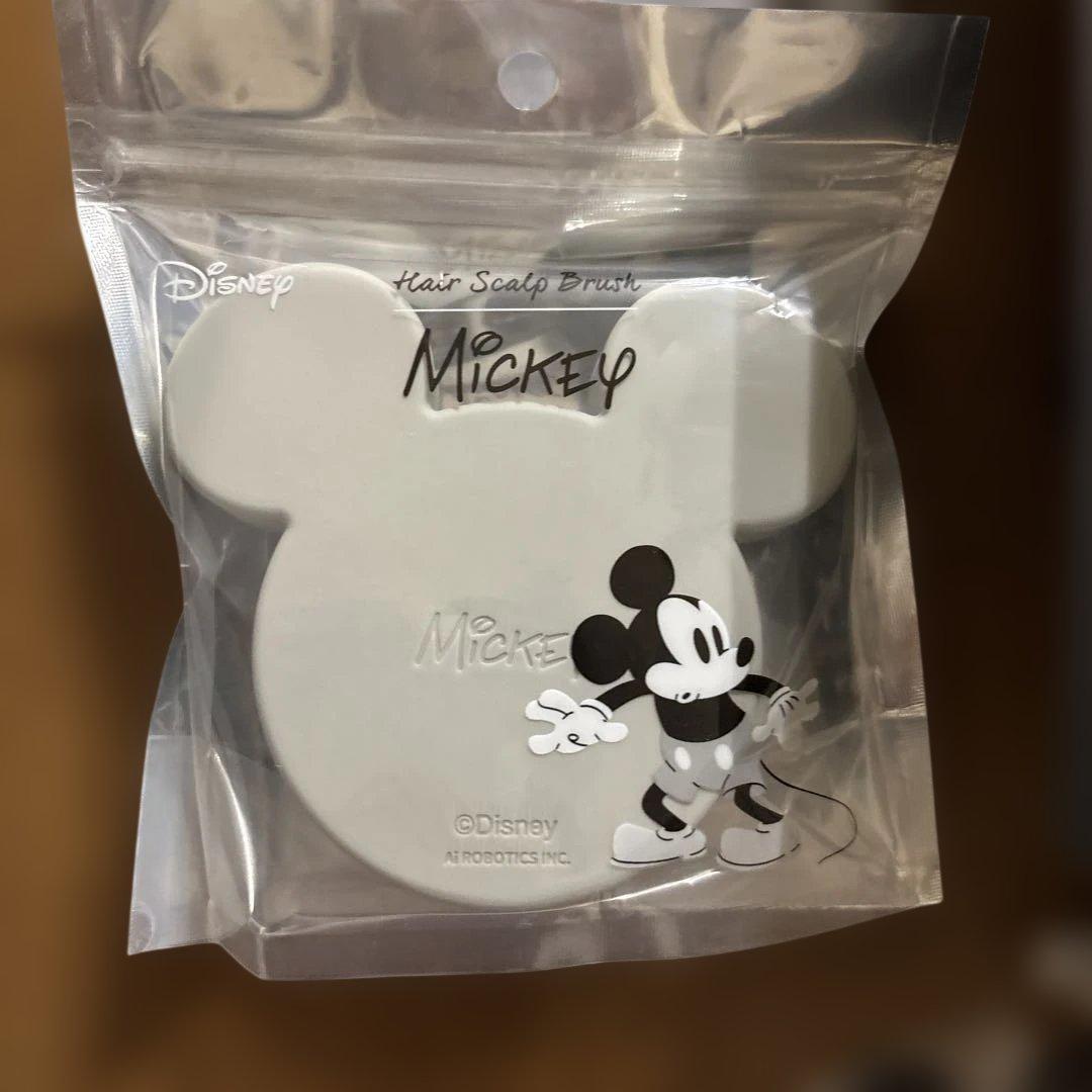 ま*す様 美品 ブライト シャワードライヤー SHOWER DRYER ナノミス