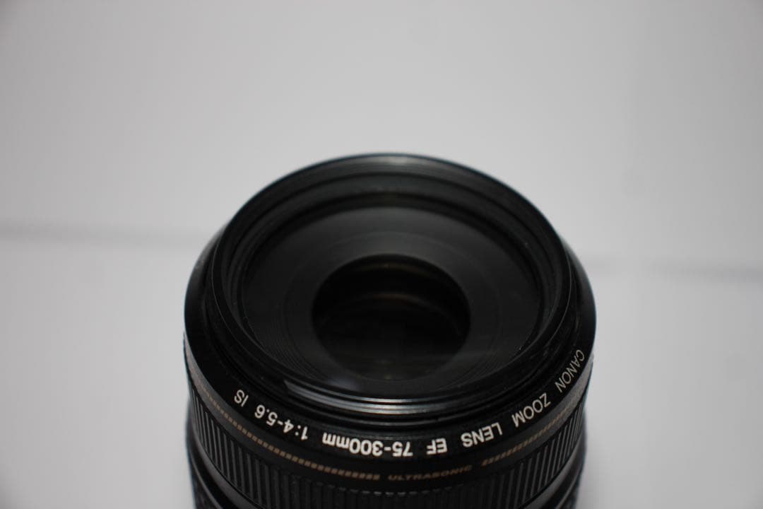 一眼レフカメラ 手ぶれ補正レンズ Canon EF 75-300mm IS